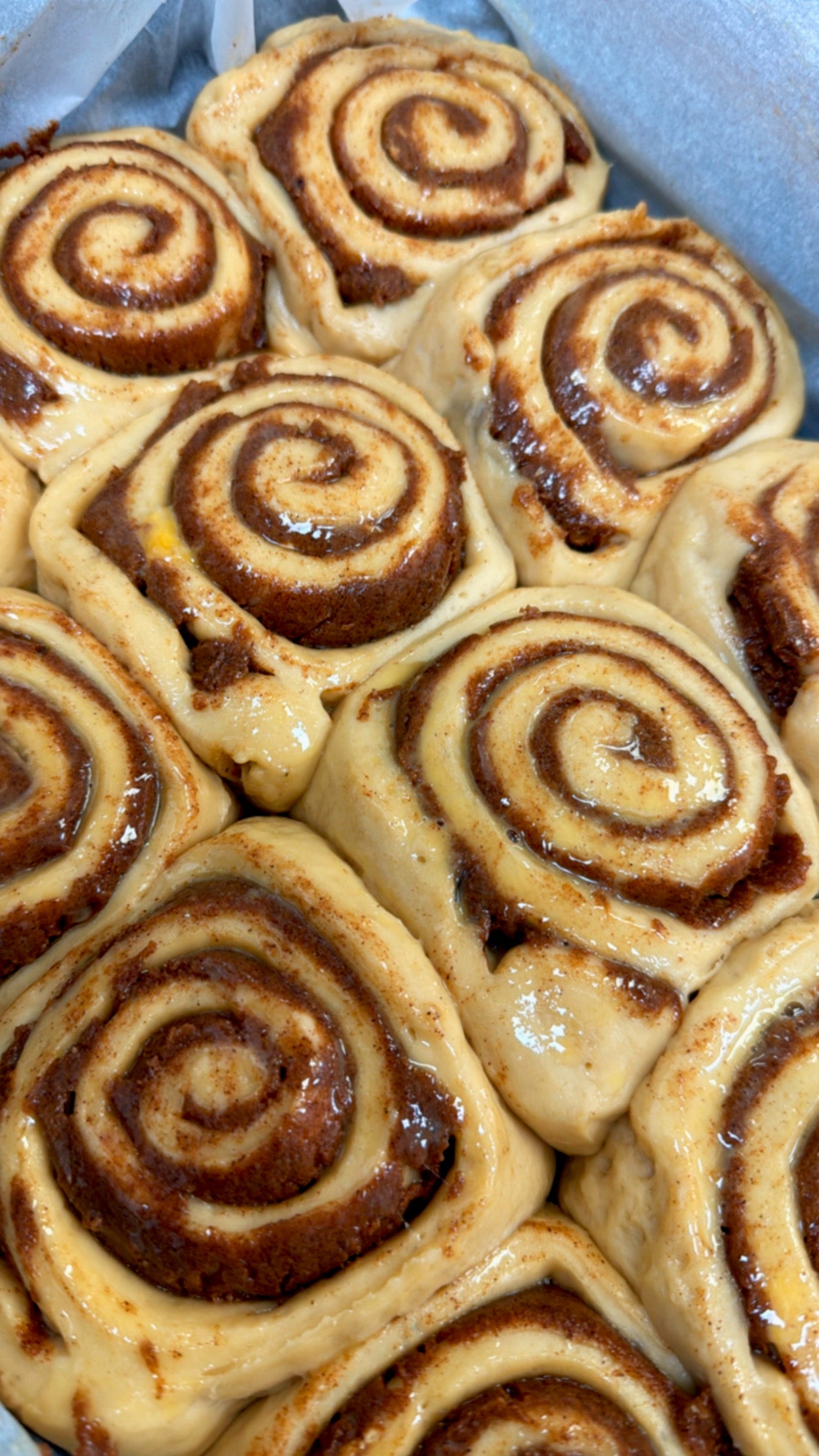 Cinnamon Rolls
