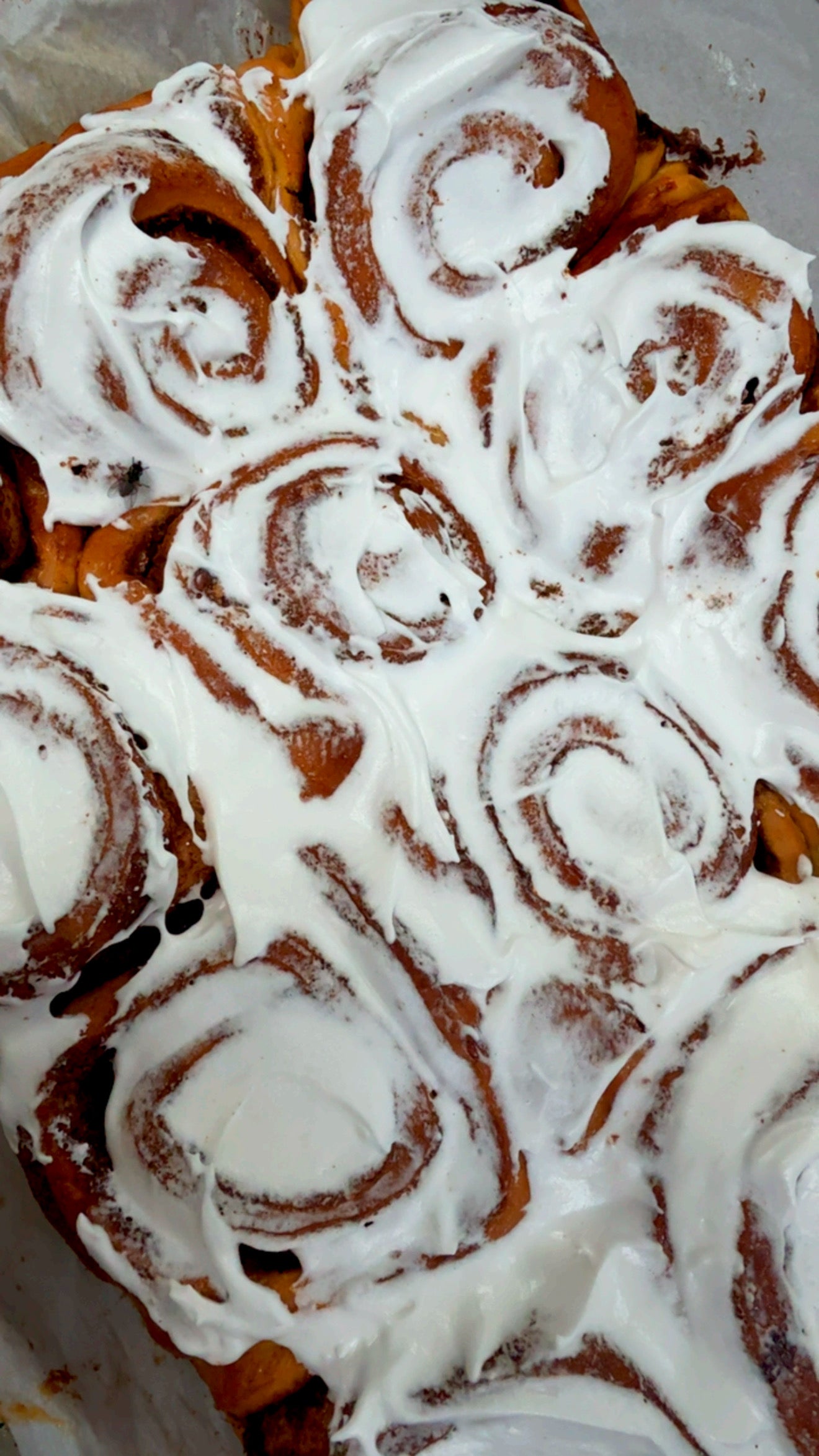 Cinnamon Rolls